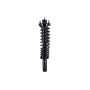 FCS Struts 1336337R Suspension Strut and Coil Spring Assembly
