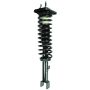 FCS Struts 1336338 Suspension Strut and Coil Spring Assembly