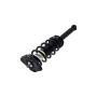 FCS Struts 1336339 Suspension Strut and Coil Spring Assembly