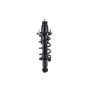 FCS Struts 1336340L Suspension Strut and Coil Spring Assembly