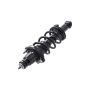 FCS Struts 1336340L Suspension Strut and Coil Spring Assembly