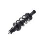 FCS Struts 1336340R Suspension Strut and Coil Spring Assembly