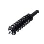 FCS Struts 1336341L Suspension Strut and Coil Spring Assembly