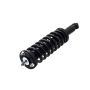 FCS Struts 1336341R Suspension Strut and Coil Spring Assembly