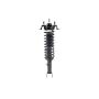 FCS Struts 1336342 Suspension Strut and Coil Spring Assembly