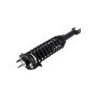 FCS Struts 1336342 Suspension Strut and Coil Spring Assembly