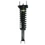 FCS Struts 1336345 Suspension Strut and Coil Spring Assembly