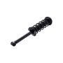FCS Struts 1336348 Suspension Strut and Coil Spring Assembly