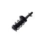 FCS Struts 1337006L Suspension Strut and Coil Spring Assembly