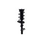 FCS Struts 1337006L Suspension Strut and Coil Spring Assembly
