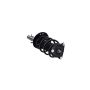FCS Struts 1337006L Suspension Strut and Coil Spring Assembly