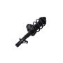 FCS Struts 1337006R Suspension Strut and Coil Spring Assembly