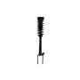 FCS Struts 1337007 Suspension Strut and Coil Spring Assembly