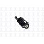 FCS Struts 1337019R Suspension Strut and Coil Spring Assembly