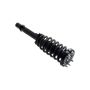 FCS Struts 1337020L Suspension Strut and Coil Spring Assembly