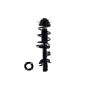 FCS Struts 1337022 Suspension Strut and Coil Spring Assembly