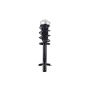 FCS Struts 1337023L Suspension Strut and Coil Spring Assembly