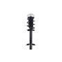 FCS Struts 1337023R Suspension Strut and Coil Spring Assembly