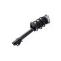 FCS Struts 1337023R Suspension Strut and Coil Spring Assembly
