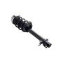 FCS Struts 1337023R Suspension Strut and Coil Spring Assembly