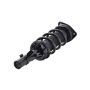 FCS Struts 1337027R Suspension Strut and Coil Spring Assembly