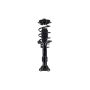 FCS Struts 1337061 Suspension Strut and Coil Spring Assembly