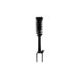 FCS Struts 1337065 Suspension Strut and Coil Spring Assembly