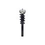 FCS Struts 1337073 Suspension Strut and Coil Spring Assembly