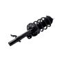 FCS Struts 1337077L Suspension Strut and Coil Spring Assembly