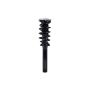 FCS Struts 1337097 Suspension Strut and Coil Spring Assembly
