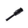 FCS Struts 1337097 Suspension Strut and Coil Spring Assembly