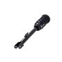 FCS Struts 1337098L Suspension Strut and Coil Spring Assembly