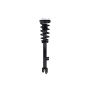 FCS Struts 1337098R Suspension Strut and Coil Spring Assembly