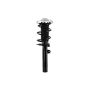 FCS Struts 1337111L Suspension Strut and Coil Spring Assembly