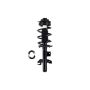 FCS Struts 1337124L Suspension Strut and Coil Spring Assembly