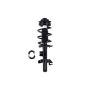 FCS Struts 1337124R Suspension Strut and Coil Spring Assembly