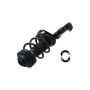 FCS Struts 1337124R Suspension Strut and Coil Spring Assembly