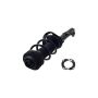 FCS Struts 1337127L Suspension Strut and Coil Spring Assembly