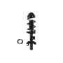 FCS Struts 1337127R Suspension Strut and Coil Spring Assembly