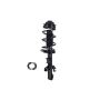FCS Struts 1337128L Suspension Strut and Coil Spring Assembly