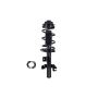 FCS Struts 1337128L Suspension Strut and Coil Spring Assembly