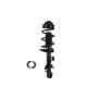FCS Struts 1337128R Suspension Strut and Coil Spring Assembly
