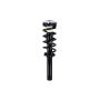 FCS Struts 1337161 Suspension Strut and Coil Spring Assembly