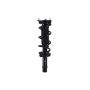 FCS Struts 1337171L Suspension Strut and Coil Spring Assembly