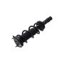 FCS Struts 1337171L Suspension Strut and Coil Spring Assembly
