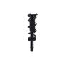 FCS Struts 1337171R Suspension Strut and Coil Spring Assembly