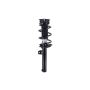 FCS Struts 1337229 Suspension Strut and Coil Spring Assembly