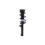 FCS Struts 1337229 Suspension Strut and Coil Spring Assembly