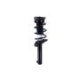 FCS Struts 1337231 Suspension Strut and Coil Spring Assembly