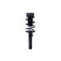 FCS Struts 1337231 Suspension Strut and Coil Spring Assembly